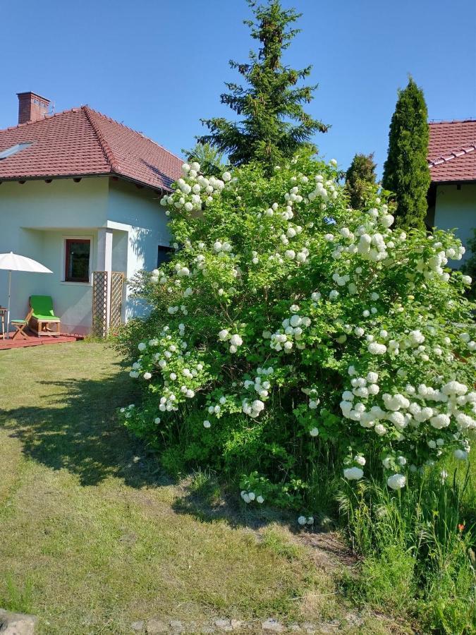 Apartamenty Zielona Gora Exterior photo
